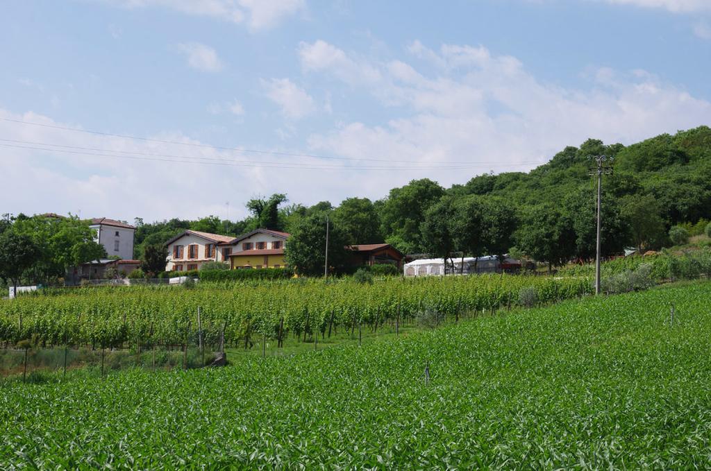 Agriturismo Casa Villi Сольферино Экстерьер фото